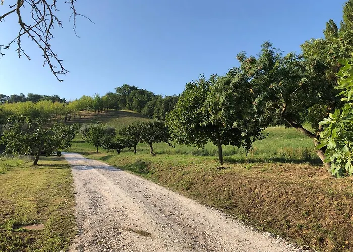 Couette-café Dai Ventu 3*